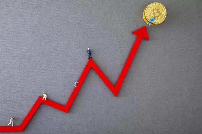 비트코인, 8만 달러 코앞으로...고래들은 2억 달러 매수 벽 쌓는 중