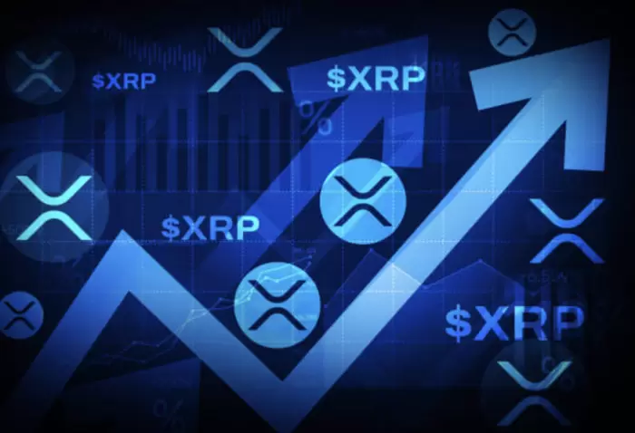 하루 만에 1,000만 개 매수 폭주...XRP, 23% 수직 상승 예고
