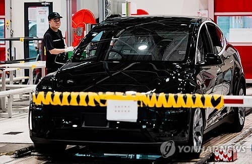 "中전기차 출혈 경쟁은 집단자살…최후승자는 테슬라될 수도"