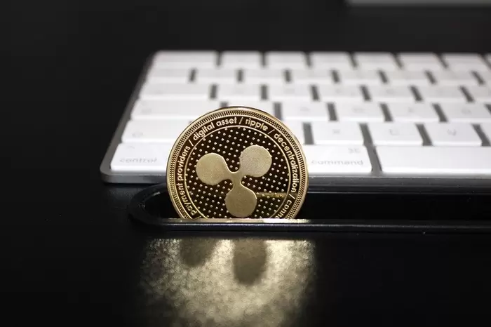 XRP, 법안 없어도 간다...뒤에서는 몰래 '큰손 매집'