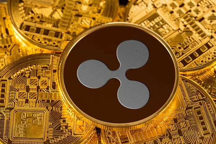 XRP(리플), 아프리카 승부수에도 1.2달러 붕괴...문제는 '이것'