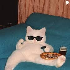 컬럼 작성 테스트 2