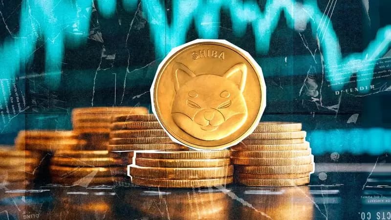 시바이누, 소각률 폭증에 세력들 재집결..."결국 공급 부족으로 오른다"