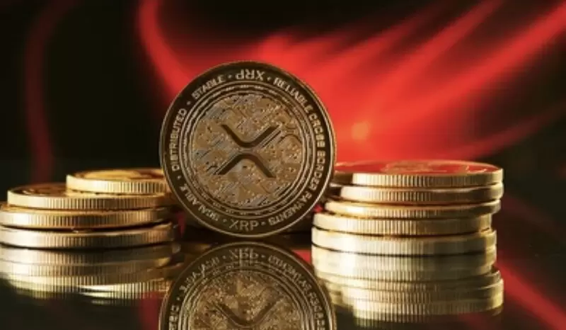 "솔라나 임원도 샀다"...XRP, 역대급 불장 예고