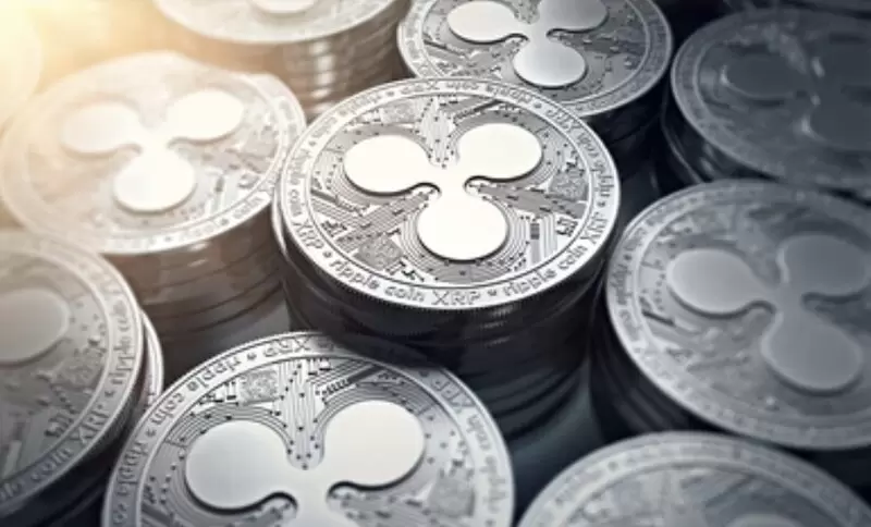 XRP, 바이낸스서 폭발 직전 최후의 신호 포착...고래들 '긴급 매집'