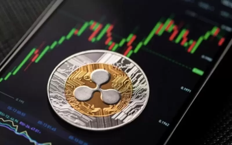 "가격은 잠잠한데...XRP, 솔라나도 제치고 시장 지배력 활동 시동