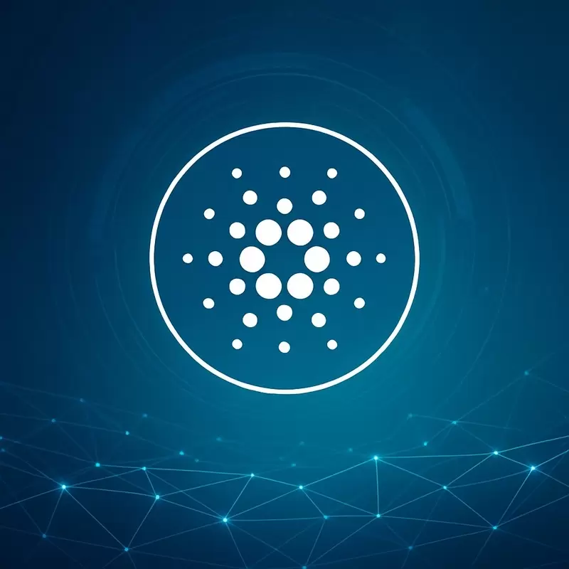 호스킨슨 "나 싫어도 카르다노 써라"...왜?