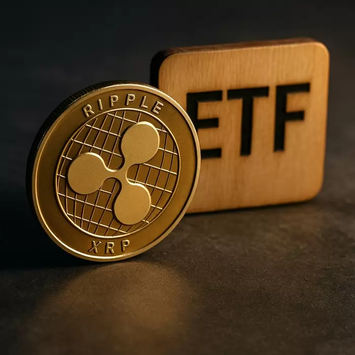 52주 고점 대비 반토막…엑스알피 현물 ETF, 기회인가 함정인가