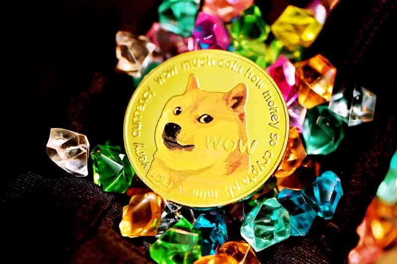 고래들 1.6억 DOGE 매수...도지코인, 큰돈 몰리며 폭발 신호탄