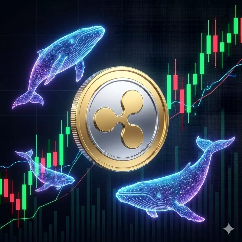 "정체불명 고래가 2위"...XRP 1.8% 싹쓸이, 정체 숨긴 채 시장 뒤흔든다