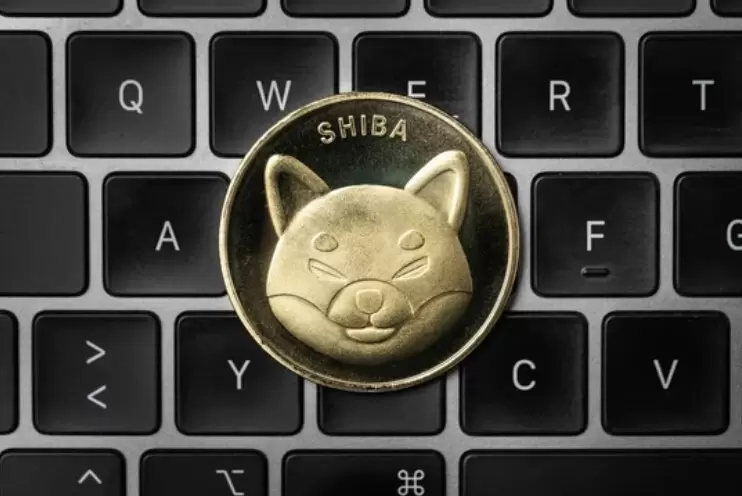 시바이누(SHIB) 거래소 물량 5년 최저...65% 폭락 끝내고 50% 뛸까?