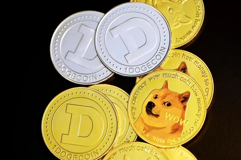"세금 내면 거대한 도지 지급"...도지코인(DOGE), 일본서 역대급 게임 보상으로 화제